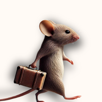 UC Davis Mouse Biology Program (@ucdmousebio) 's Twitter Profile
