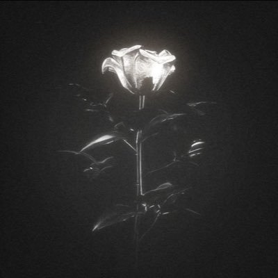 NoOne95321257's profile picture. 