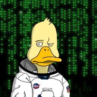 Brandboerge (@brandboerge) 's Twitter Profile Photo