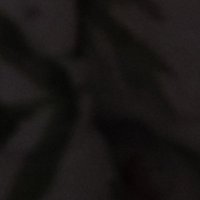 A (@arcticcharf) 's Twitter Profile