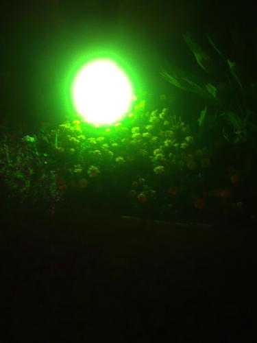 t05991's profile picture. 