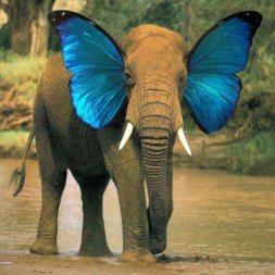 abies77's profile picture. Passe plus très souvent ici, discute sur https://t.co/P76gybsGPr et https://t.co/UYVuBsAjjM - Leaving X dystopia and its fucking Musk dictatorship 💀🔥