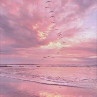 أروى🕊. (@arwaalr_1) 's Twitter Profile Photo أروى🕊. (@arwaalr_1) 's Twitter Profile Photo
