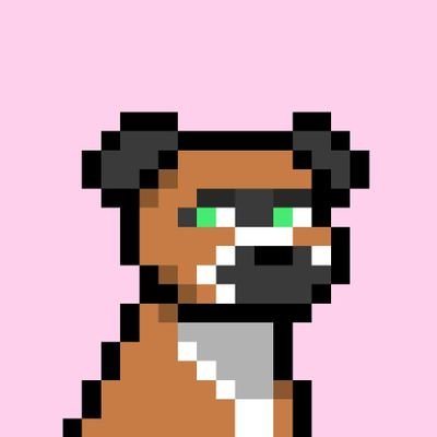 Dub'z Profile