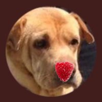 Yellow Dog Antiques RIP Rosie (@yellowonetsy) 's Twitter Profile Photo Yellow Dog Antiques RIP Rosie (@yellowonetsy) 's Twitter Profile Photo