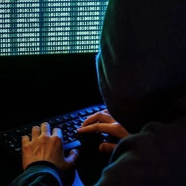 SappyB94664's profile picture. I tweet sales of Sappy Seals @SappySealsNFT from all markets.