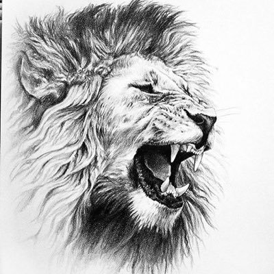 1905Alparslann's profile picture. 