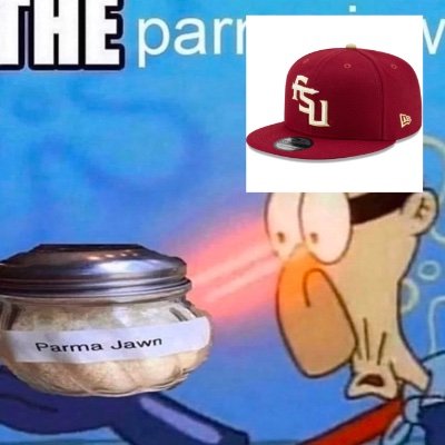 NOLES, FSU burner acc and shit, @TFL_CFB HC for THE Minnesota Golden Gophers, D1 ragebaiter
