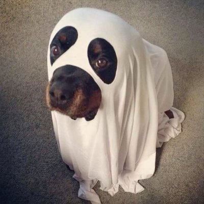 zahusnukk's profile picture. 🔗 Crypto enthusiast diving into DeFi, NFTs, and blockchain tech. Sharing insights and trades. Join my journey and let's HODL! 🚀 #Crypto #Bitcoin"
teroboronaua