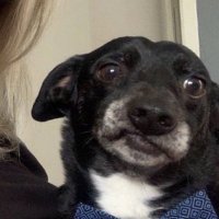 jac (@adroverjaime) 's Twitter Profile