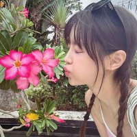 lala 🧶📖: (@lixstudy) 's Twitter Profile