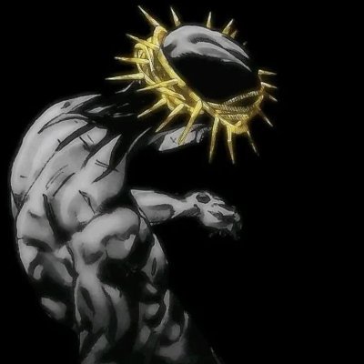 Zagi Profile