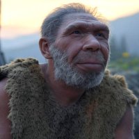 Caveman (@discoverittom) 's Twitter Profile