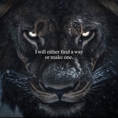 Investor #GTBIF #TCNNF #SOUN #ACLS #META #TSLA #QQQ #SPY #CIBR #BTC #AMZN #AAPL
Father / Husband / Entrepreneur