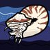 NautilusWX (@rpizza274) Twitter profile photo NautilusWX (@rpizza274) Twitter profile photo