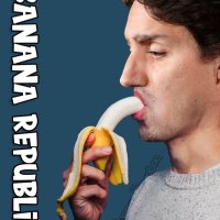 #TrudeauMustGo (@chop28) 's Twitter Profile