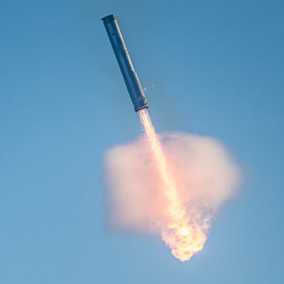 ElonIsWeird's profile picture. 