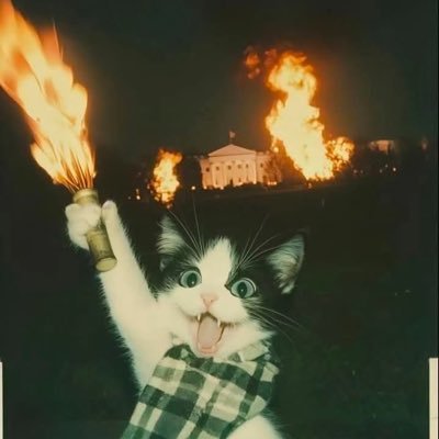 🧸Jefe🧸 LA 4/22-5/1