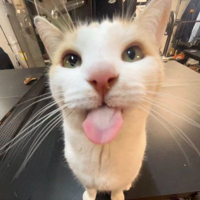 juliaugh Profile
