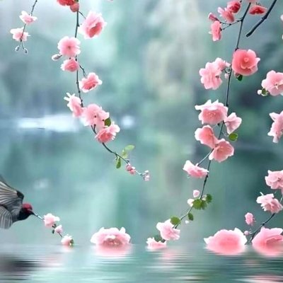 Love nature💐 animals🐒 travelling ✈️ music🎵 #followback
❌️DM ❌️PORN