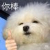 Mantou (@mantouonsol) Twitter profile photo Mantou (@mantouonsol) Twitter profile photo
