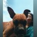 Ester Villa (@estervigar) Twitter profile photo Ester Villa (@estervigar) Twitter profile photo