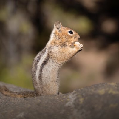 DannyBo33846928's profile picture. 