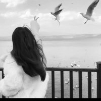 Gülenay (@gcm_mg) 's Twitter Profile