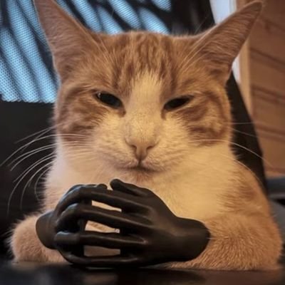 xhondrj's profile picture. 