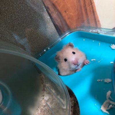 みんみん。さんのプロフィール画像