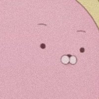 ぴょん (@pyon_ravi) 's Twitter Profile