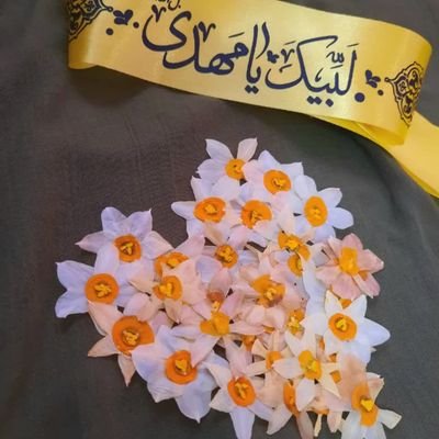 دختری از دیار سردار دلها
سرباز و فدایی ولایت
منتظر منجی ظهور