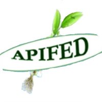 APIFED (@apifedcameroun) 's Twitter Profile Photo APIFED (@apifedcameroun) 's Twitter Profile Photo