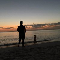 Dobby (@mattydobs) 's Twitter Profile