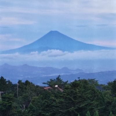 日本人メジャーリーガー/サッカー日本代表/箱根駅伝80回以上本戦に出場も優勝したことのない母校を盲目的に応援しています/勝手ですがDMはお遠慮お願いします