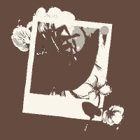 INACTIVE. DO NOT FOLLOW (@definitivegrl) 's Twitter Profile