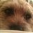 Tracy Richards (@richardstrtracy) Twitter profile photo