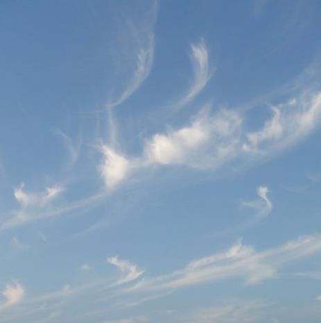 CarmenDpnt's profile picture. Human rights activist. Mobiliser. Special interest in refugee and migrants rights.