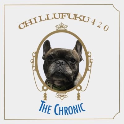 chillkachidoki's profile picture. AGA治療にやたら詳しいバーバーがDJ行為に手を染めたりスニーカー集めたりしてます😆あとイルカ🐬アレルギー😇ワタクシが誰かわかってもみんなにはナイショだよ🤫