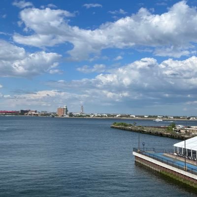 wolfie_harry's profile picture. 