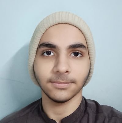 MusabAhmedNiz's profile picture. Just a developer making cool things.
if anyone wants to ask anything shoot a DM