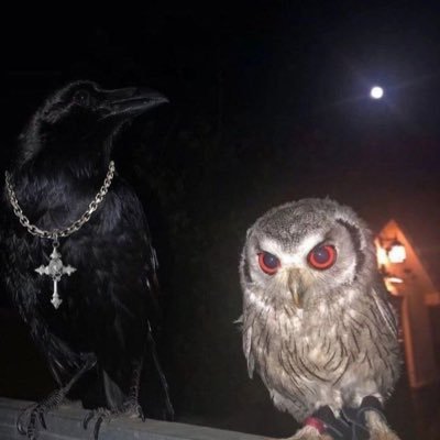 SABT2108's profile picture. SurePlugg 🔌 OluwaLONIGlorii