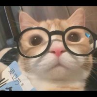 S (@asmaaahmed00859) 's Twitter Profile Photo S (@asmaaahmed00859) 's Twitter Profile Photo