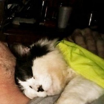 jr_boogie30961's profile picture. 