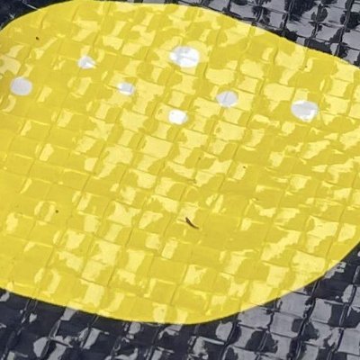 123456789waasi's profile picture. 