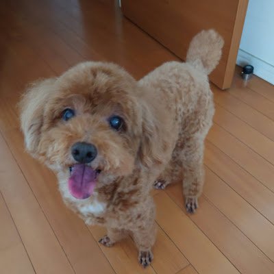 4ZHW075o2264698's profile picture. 