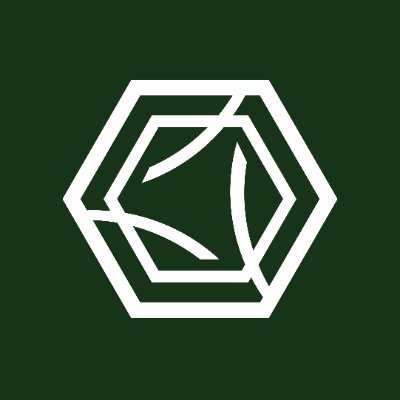 Toroforge Collective Profile