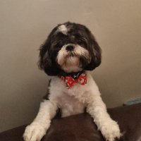 lee cooper (@leecoops72) 's Twitter Profile