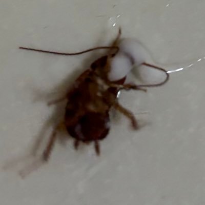 anxingle_Christ's profile picture. 八百年不上，都是机器瞎关注的！