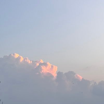 ttamer257's profile picture. 